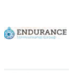 Endurance Technologies